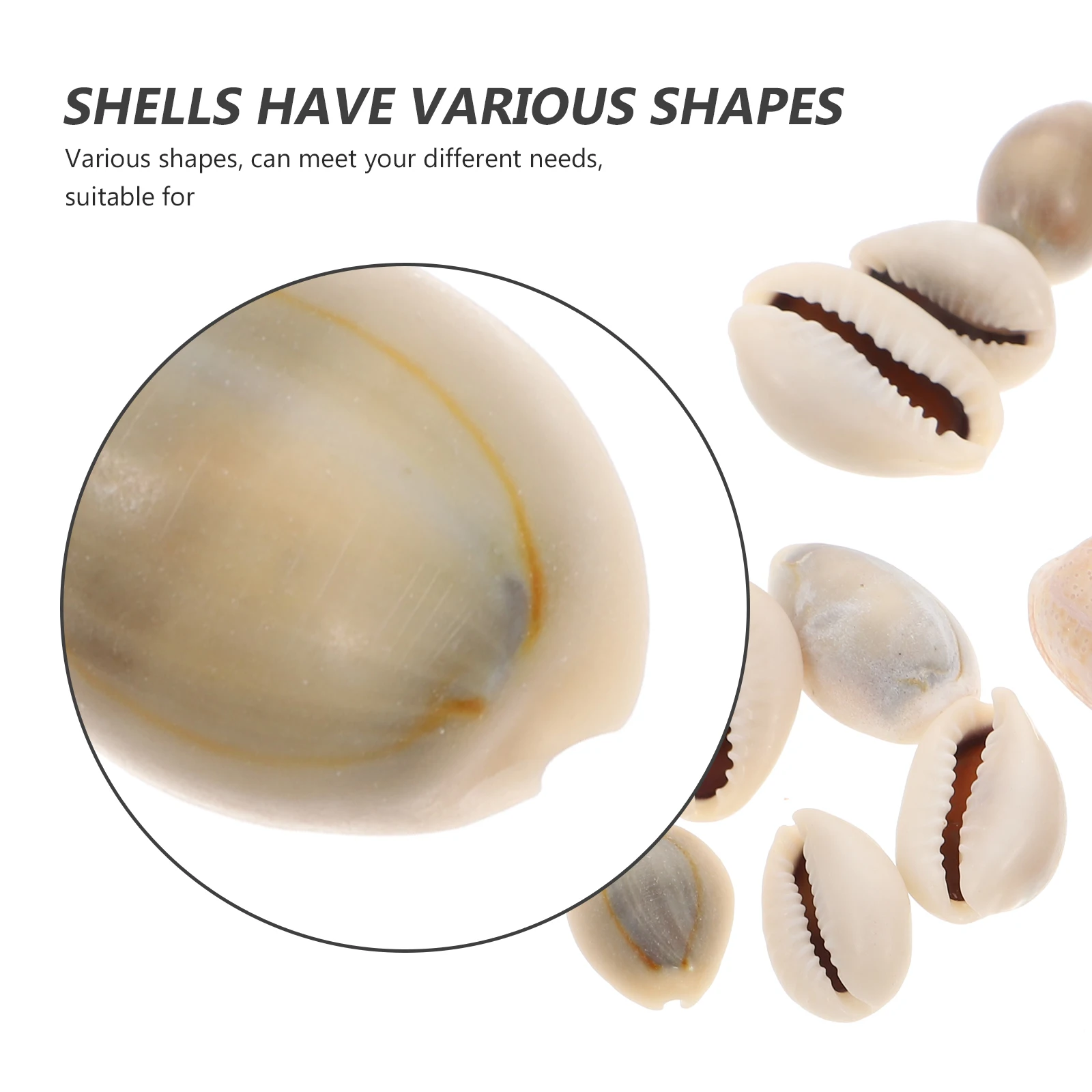 

100pcs Natural Sea Snail Shells 1 6 2 Conch Aquarium Fish Tank Decor DIY Accessories Home Decoration