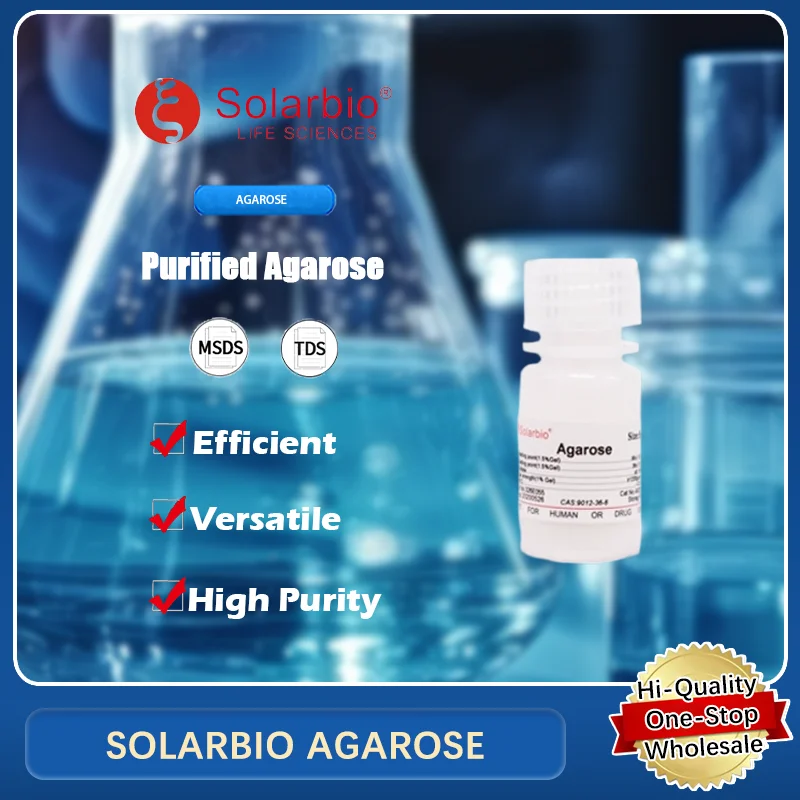 SOLARBIO AGAROSE for Gel Electrophoresis and Molecular Biology Research Applications Original Product