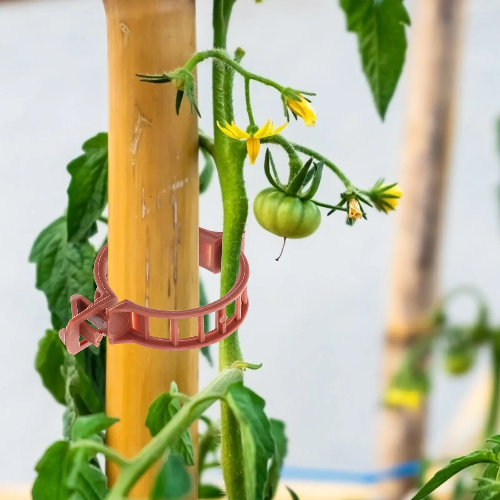 Plásticas Plantas Vegetais Suporte Clips Set, Estufa, Tomate Stem, Plantas Vegetais Clamp, Braçadeira De Crescimento