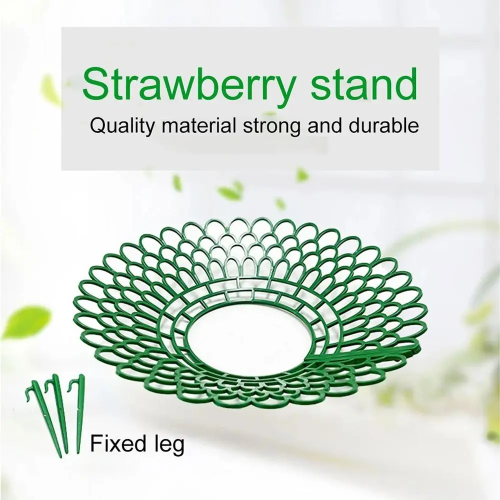 3 Sturdy Legs Strawberry Plant Supports Keeping Plant Fruit Stand Mold Rot Dirt Protection Strawberry Growing Racks
