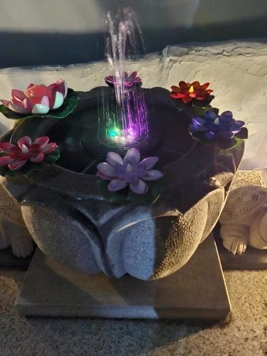 3.5W Outdoor Solar Fountain Pump With LED Light Solar Bird Bath Fountain Built-in 3000mhA Battery with 8 Nozzles for Garden Pond photo review