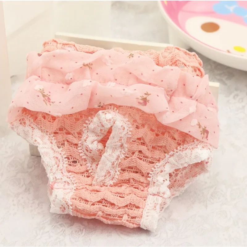 Pet clothes Physiological pants Teddy Bigbear menstrual estrus anti-sao pants Strawberry polka dot dog cat chiffon panties