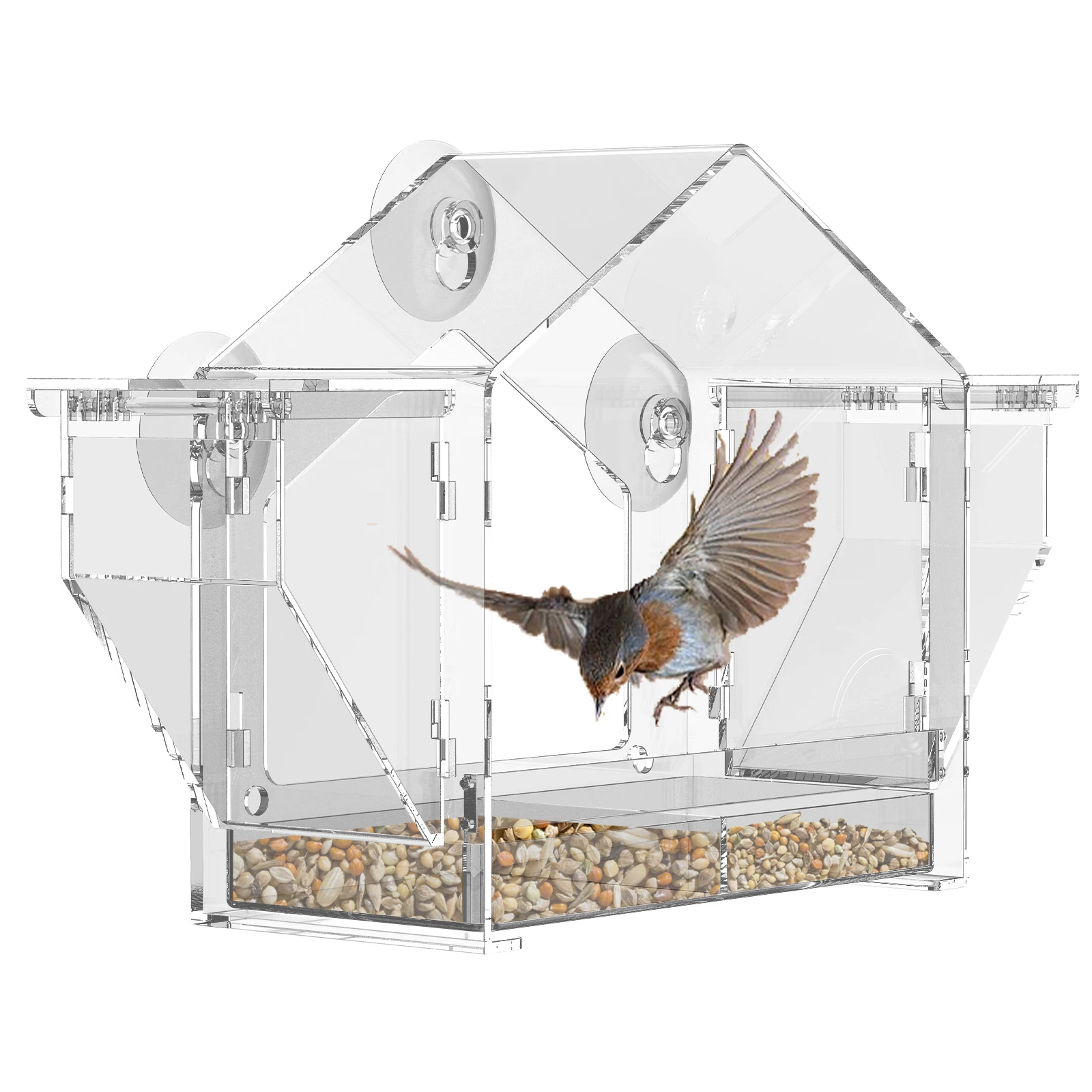 PS-Vogelfutterstation mit transparentem Fenster, einfach zu beobachten, transparenter Vogelfutterspender mit 3-Saugnapf, Eichhörnchensicher für den Garten im Freien