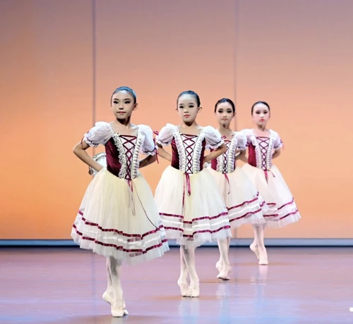Imagen 2 del producto Adultos mujeres niñas vestido largo de bailarina niños niño Giselle actuación traje de baile de cisne rojo romántico tutú falda de Ballet ropa