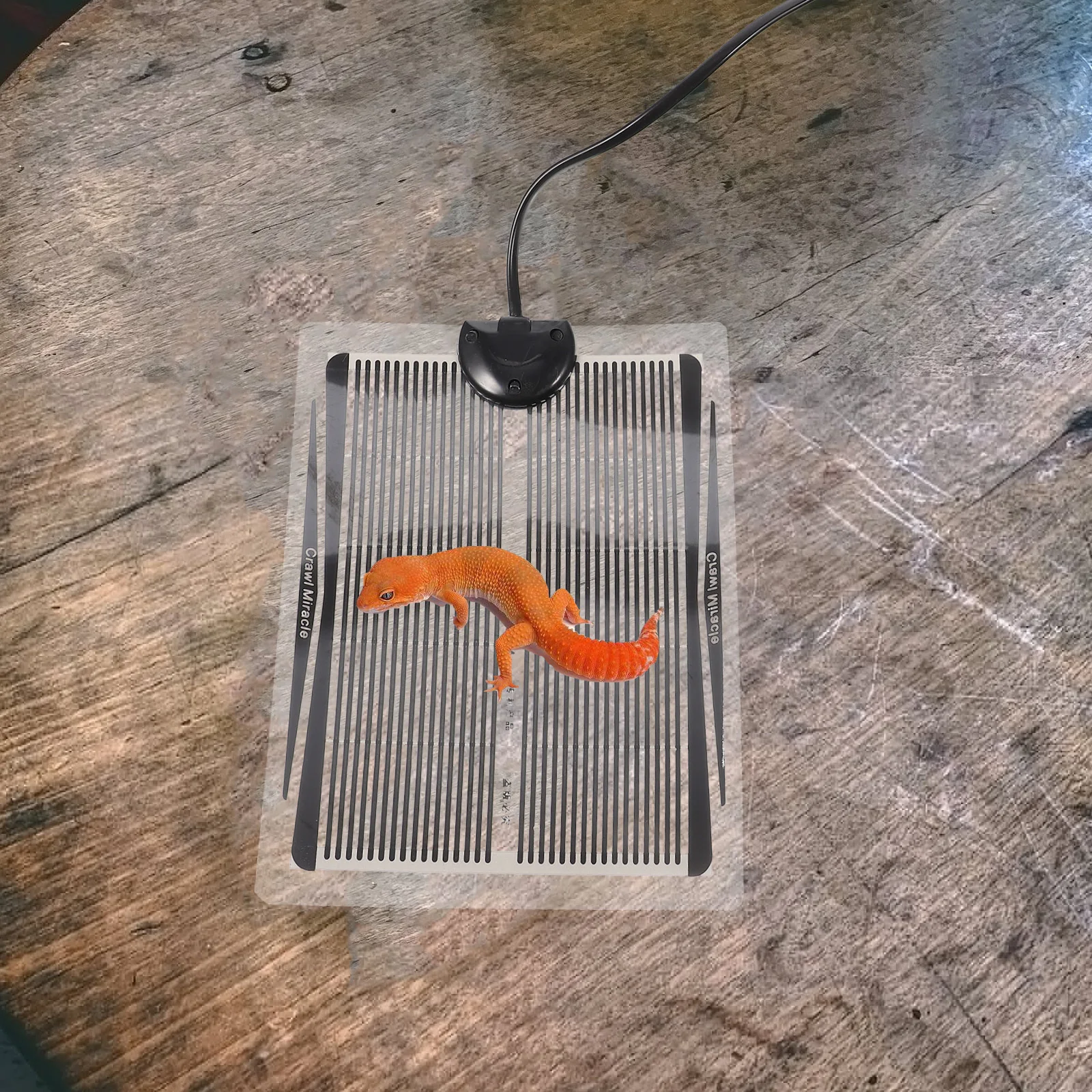 Reptile Heating Pad Plug Reusable Safety Heating Mat Reptile Tank Liner Small Pet Warming Cushion Electric Heated Mat