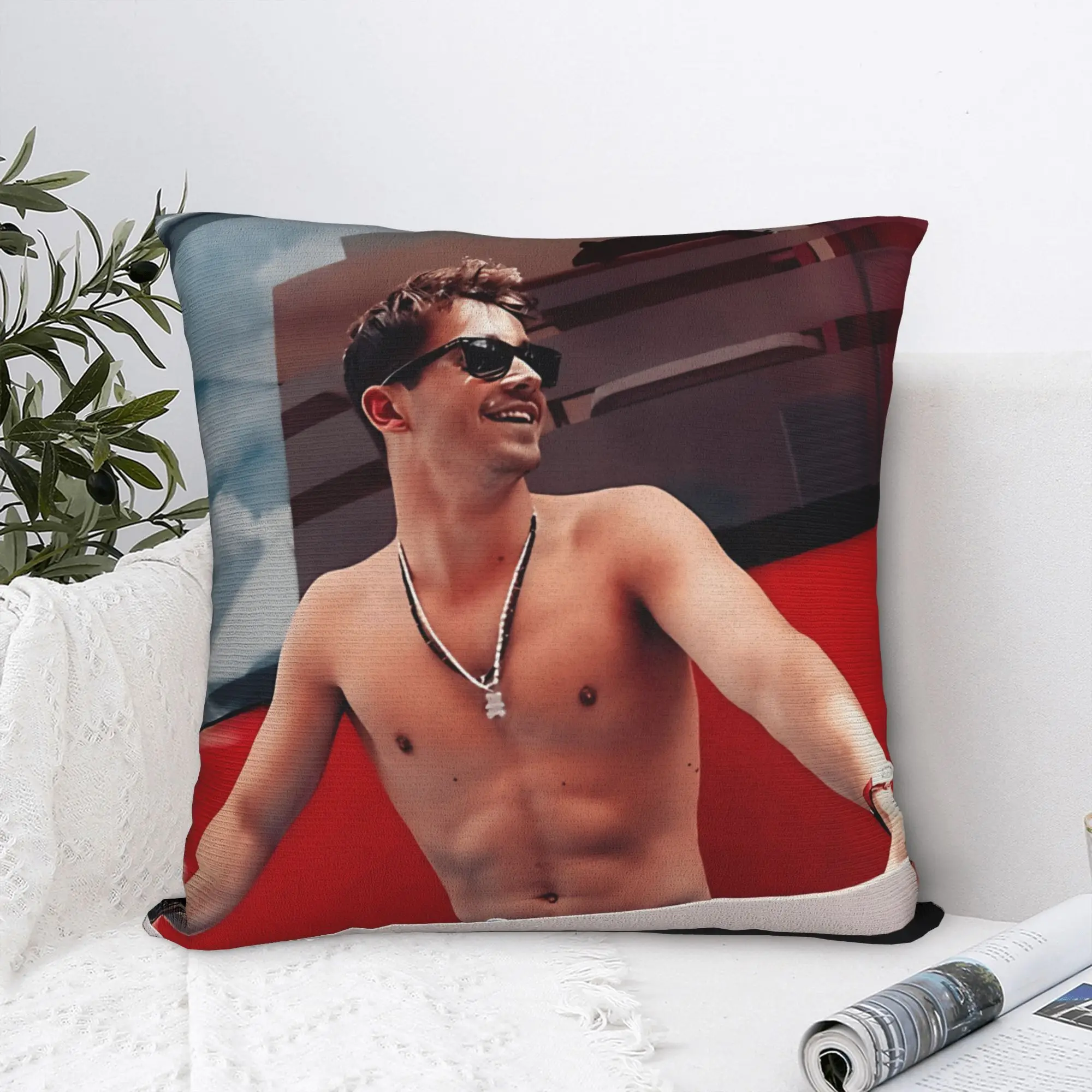 Charles Leclerc Pillow Case  Vintage Pillow Cover Custom Pillowcases For Living Room Bed Chair
