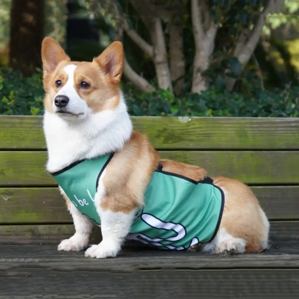 Hund Bauchband Weste Anti Schmutz Hund Bauch Schutz Kleidung Wasserdichte Weiche Hund Bauch Tasche Atmungsaktive Haustier Hund Lätzchen Training