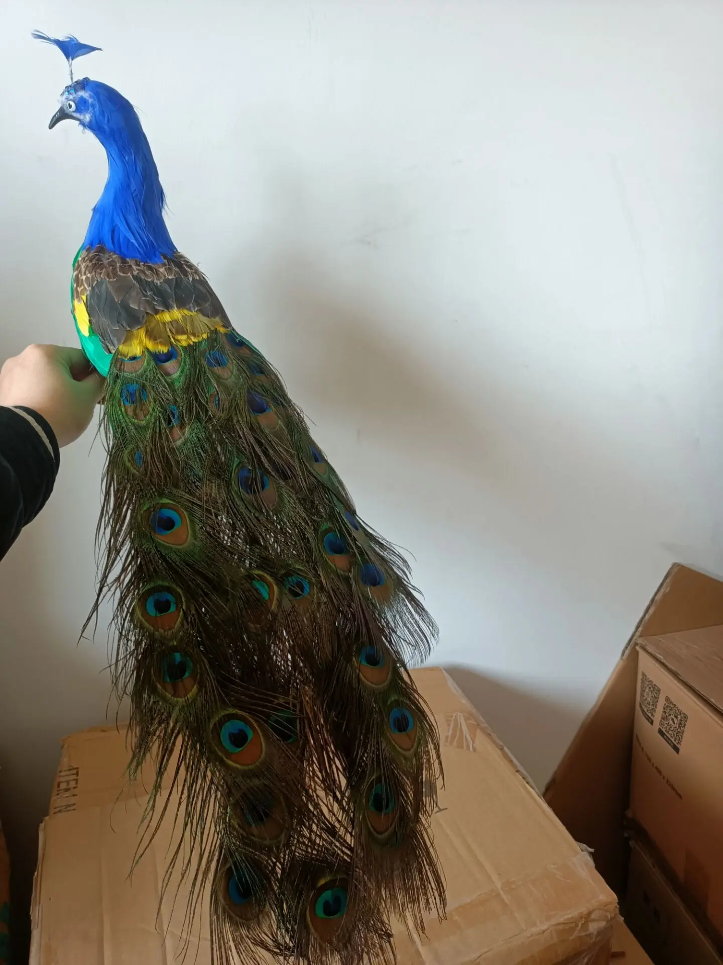 

simulation colorful peacock model foam&feather beautiful peacock bird gift about 60cm xf2904