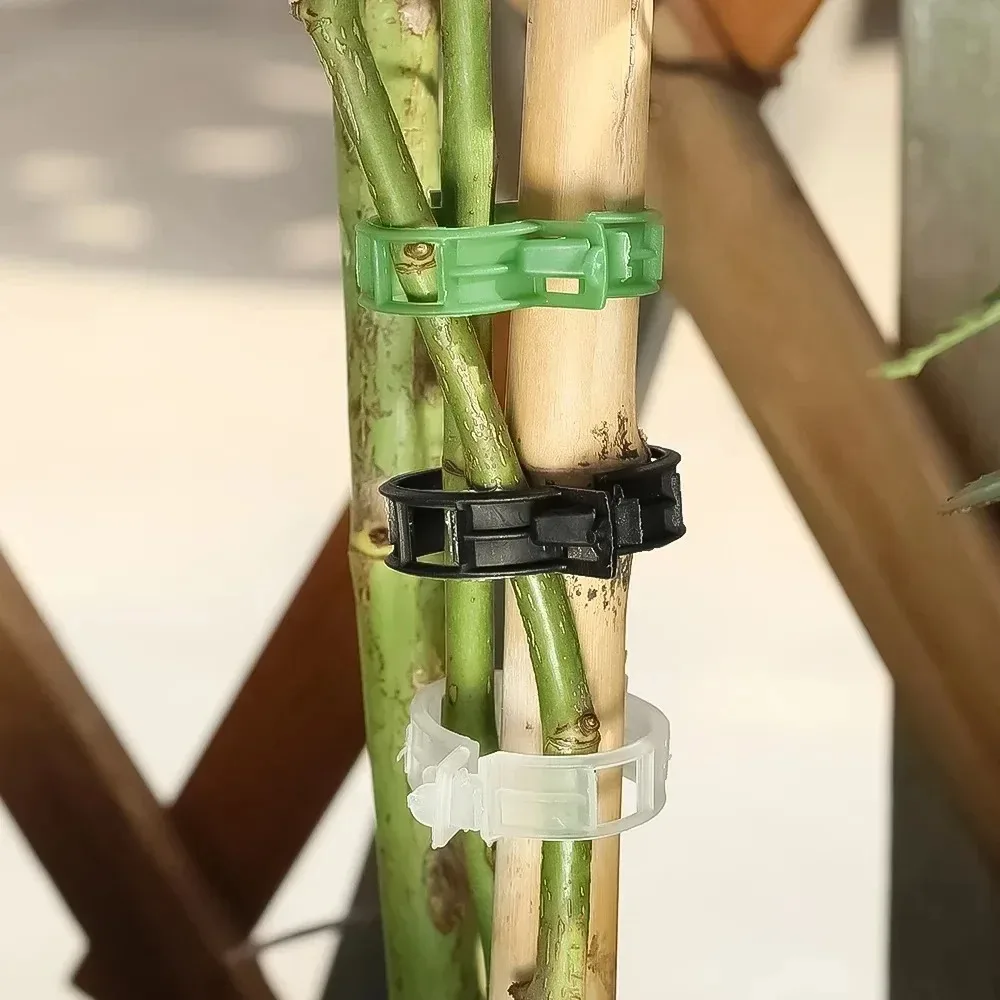 100/10PCS Plant Support Clips Plastic Buckle Reusable Protection Grafting Fixing Tool for Plant Vegetable Tomato Garden Supplies