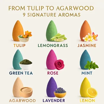 9-Pack Aromatherapy Incense Sticks 1