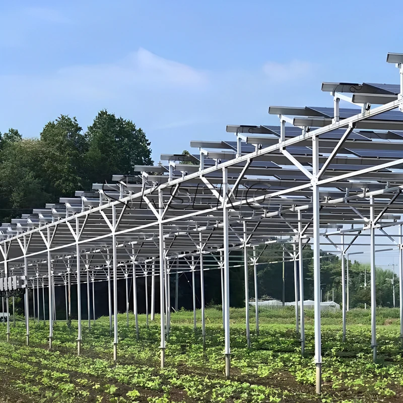 High-Efficiency Solar Farm Mounting Systems Aluminum Stainless Steel PV Support Frame Solar Panel Structures ISO9001/CE