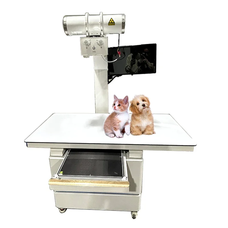 EUR VET Manufacture Price X Ray Machine High Frequency With Flat Panel Detector