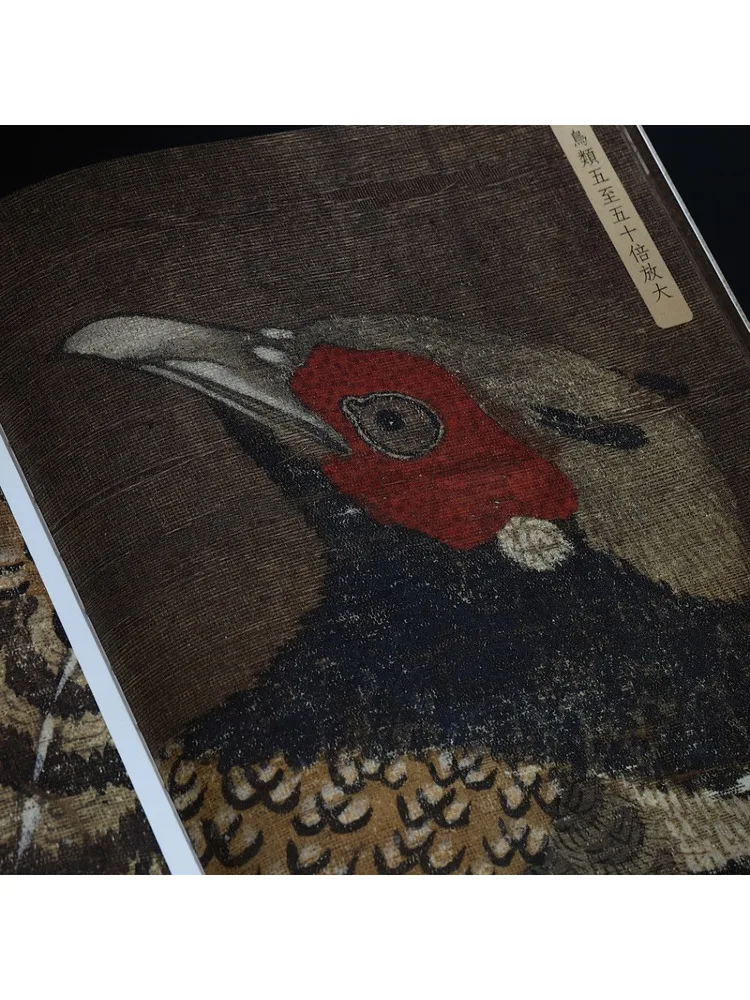 Book-Winshare Minglu Ji's Fine Stroke Flower and Bird Painting 