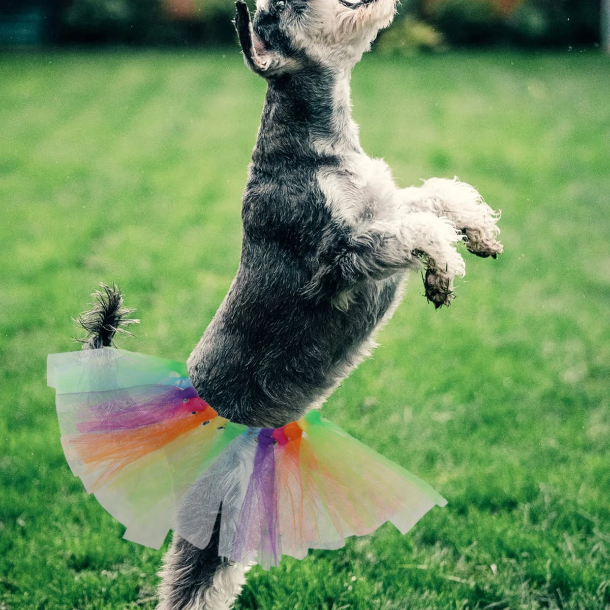 

Rainbow Gauze Dress Colorful Supplies Fashion Cloth Gauze Skirt Tutu Skirt Pet Supplies Pet Clothes Dogwear