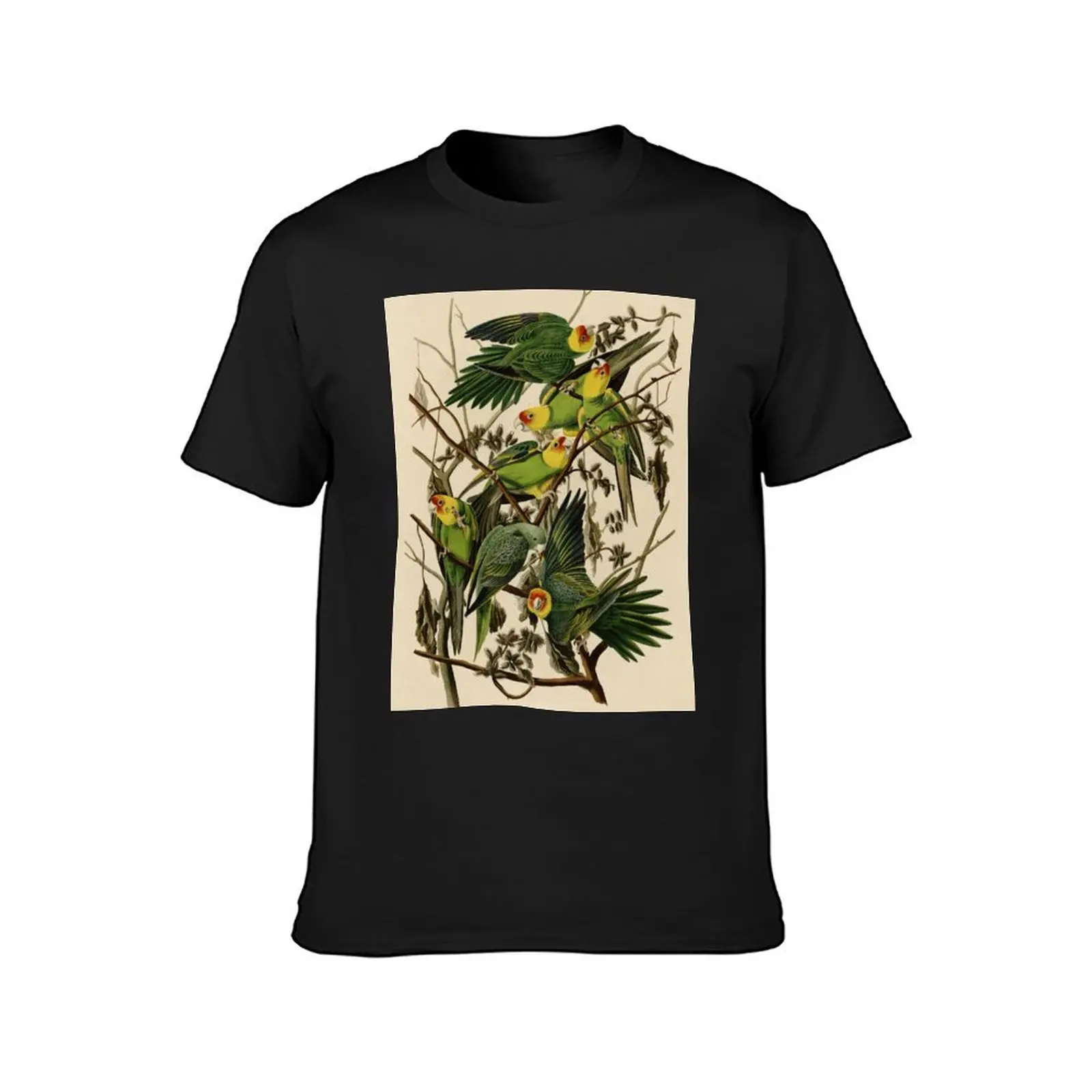 Vintage Parrot Illustration T-Shirt Aesthetic clothing oversizeds sports fans fitted t shirts for men