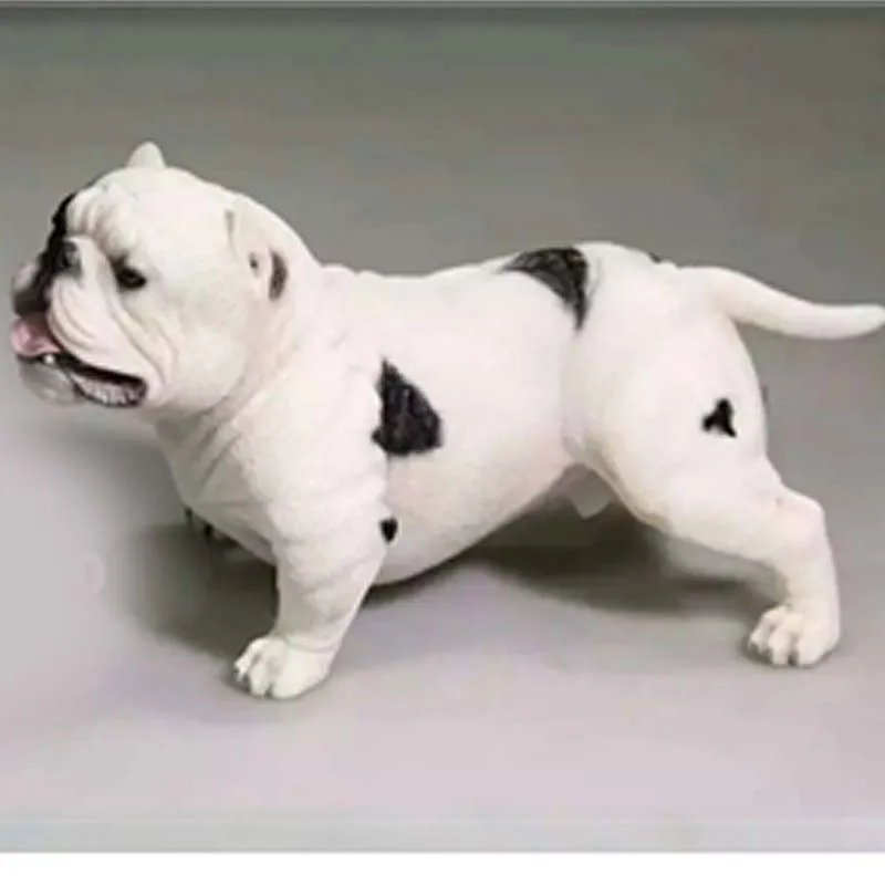 Mnotht 1/6 Scale Bully Pitbull Bully dog With Chain+Collar Resin Animal American Dog Pet Model For 12\