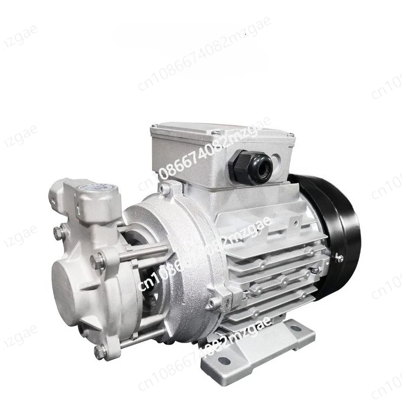 

Насос высокого давления, насос для горелки, насос для метанола и масла LP125