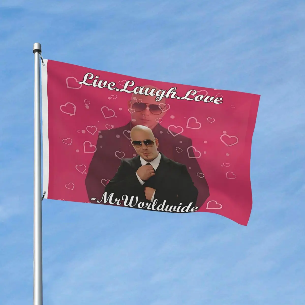 Funny Internet Meme Collection Flags Double Sided Outdoor Banner Live Laugh Love Mr Worldwide Polyester Hanging Decor 3x5 FT