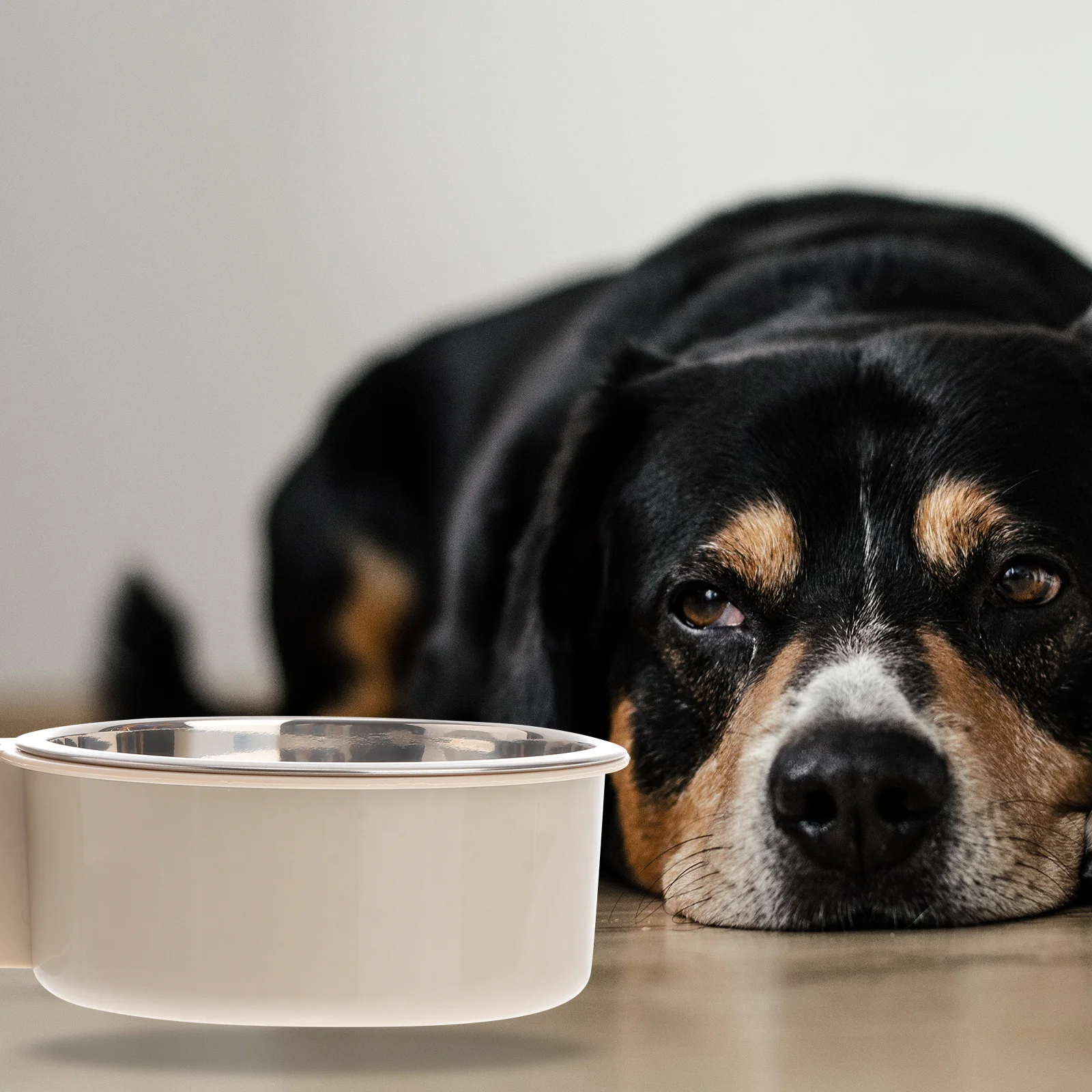 

Stainless Steel Pet Feeder Grey Size S Hanging Food Bowl Durable Non-Spill Dog Cat Feeding Bowl Pet Supplies Dog Feeder
