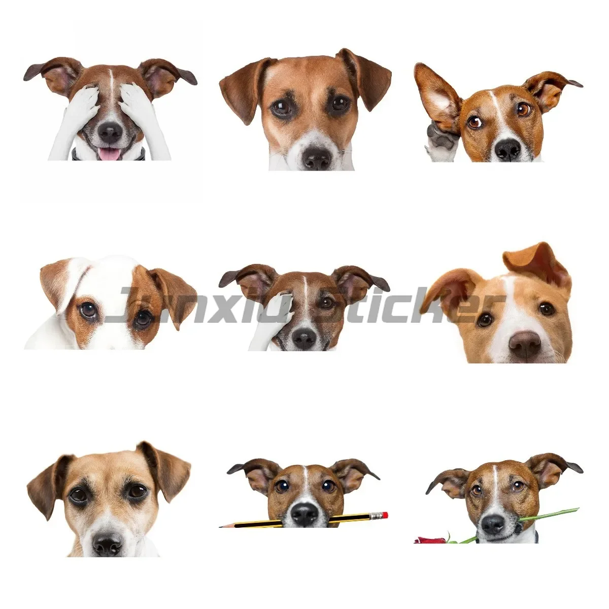 

Realistic Jack Russell Dog Car Stickers Surfboard Decal Fine Graffiti Vinyl Material Waterproof Decoration Decal