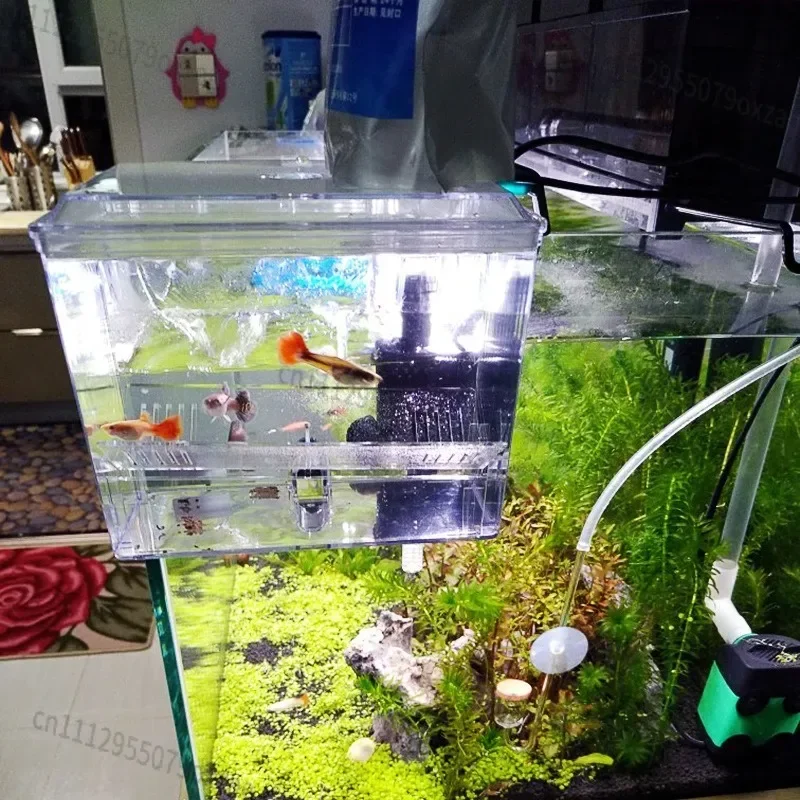 220V Aquarium Hanging Breeding Separator Box Built-in Pump Acrylic Fish Hatchery Isolation Container for Guppy Fish Breeding
