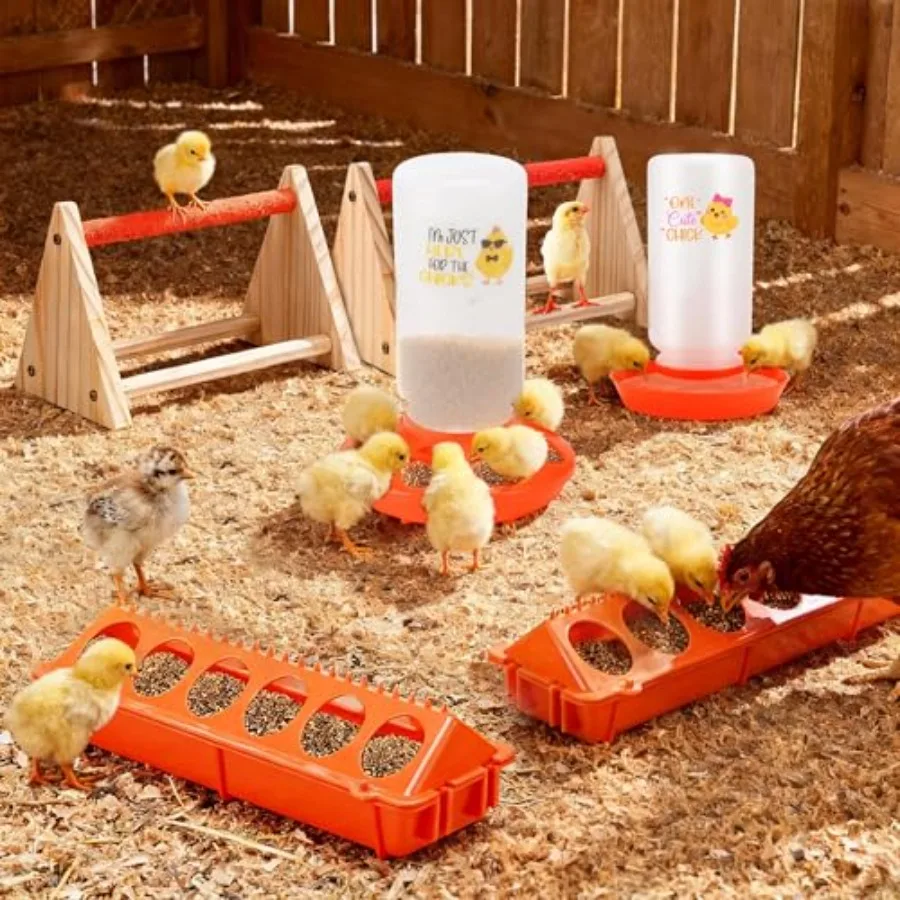 【Spot goods】Chicken Feeder and Waterer SetAutomatic 1L Chick Feeder and Waterer with 2 Wooden Perch Baby Chicks Supplies for Du view 2