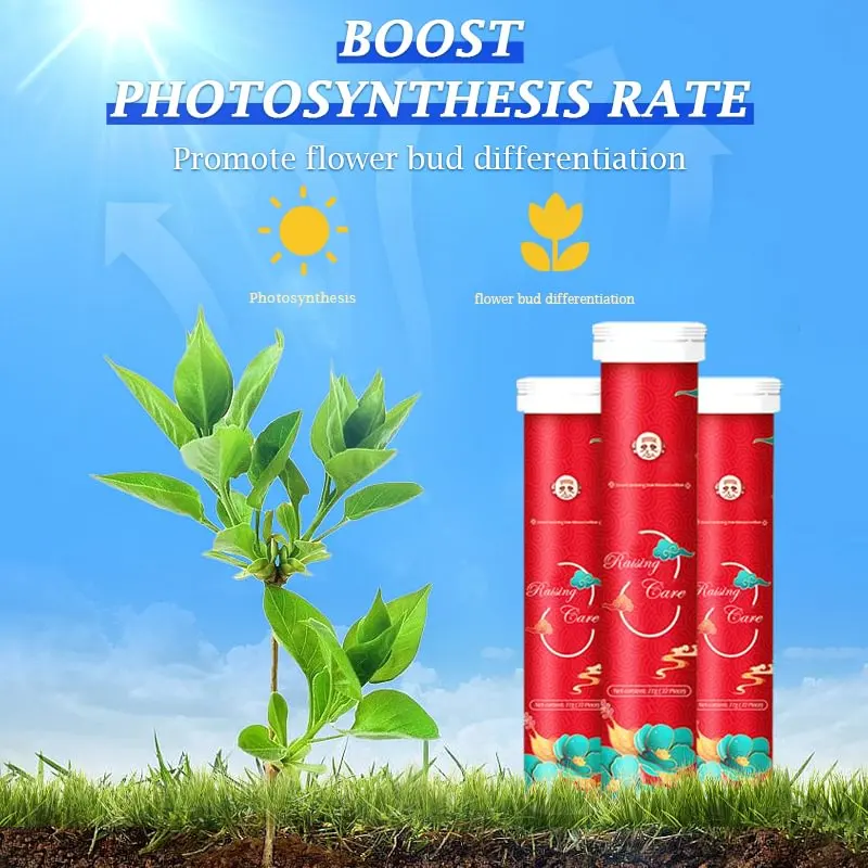 

100g Gardening Universal Slow-Release Tablet Organic Fertilizer Plant Flowers Nitrogen phosphorus potassium slow release agent