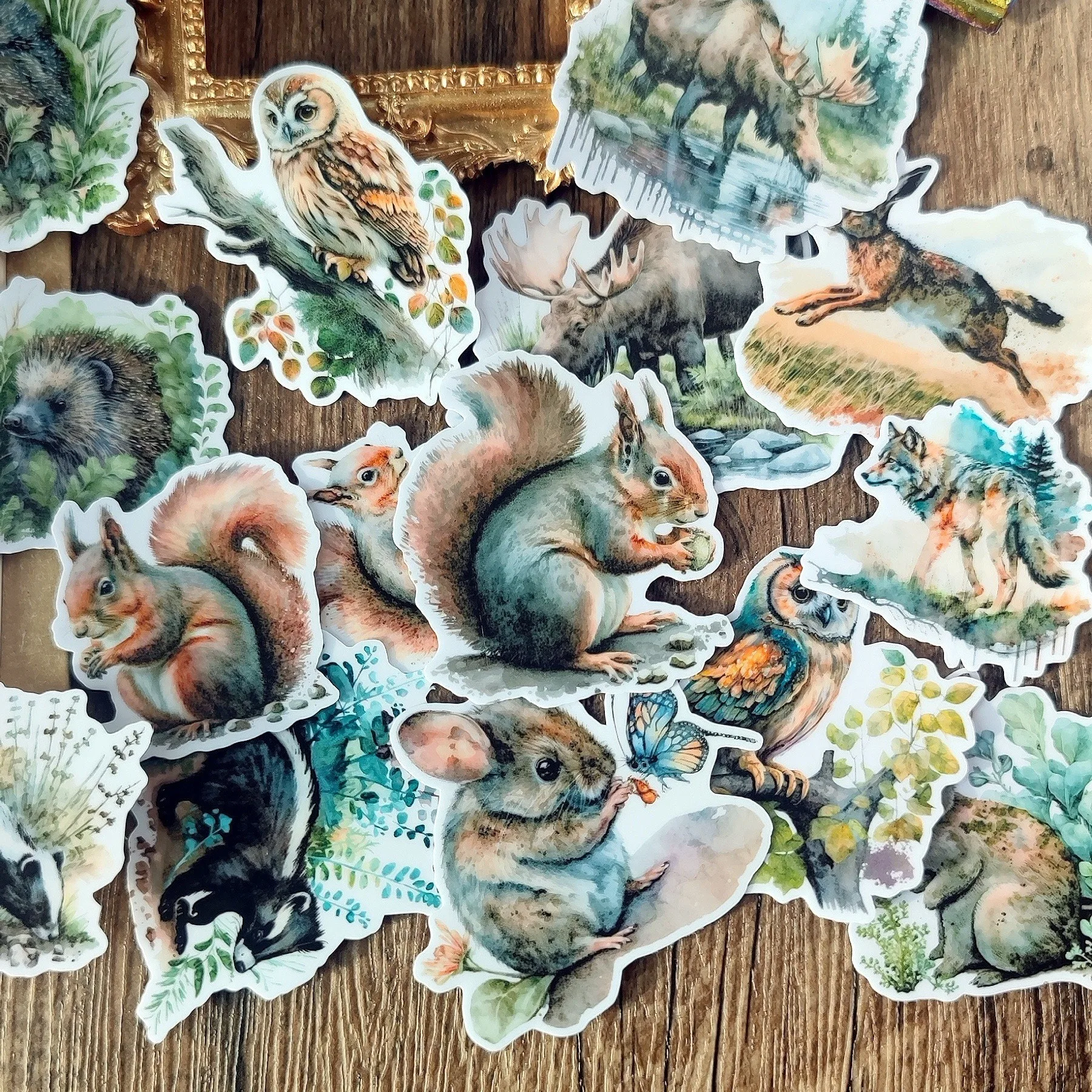 1 set Watercolor Forest Animal Rabbit Hedgehog  Stickers Crafts And Scrapbooking  toys  Decorative DIY Stationery  cute