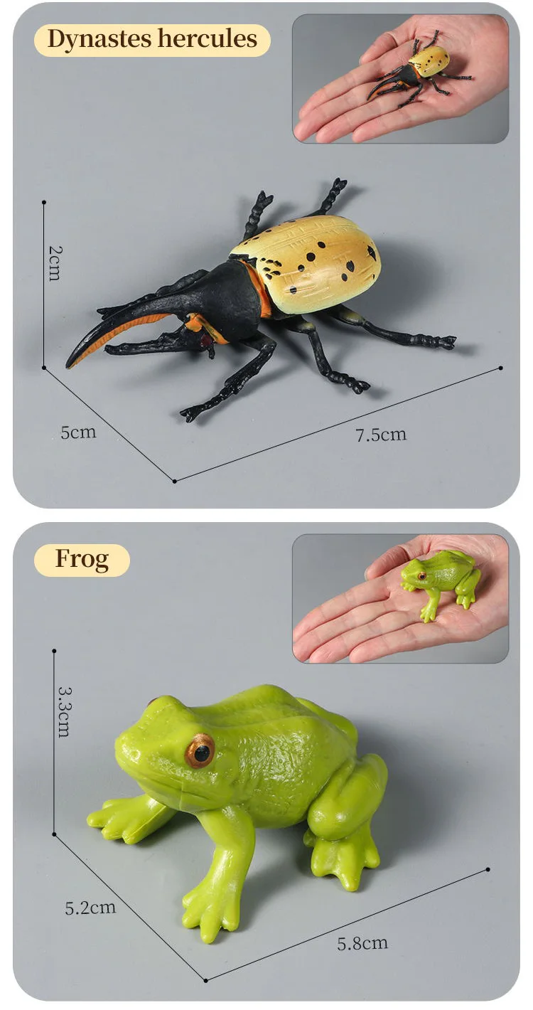 Pädagogisches Insekten-Tiere-Modell-Spielzeug-Set mit Schmetterling, Biene, Libelle, Mantis, Ameise, Schnecke, Actionfiguren für Kinder, Sammlung, Dekoration – Detail 14