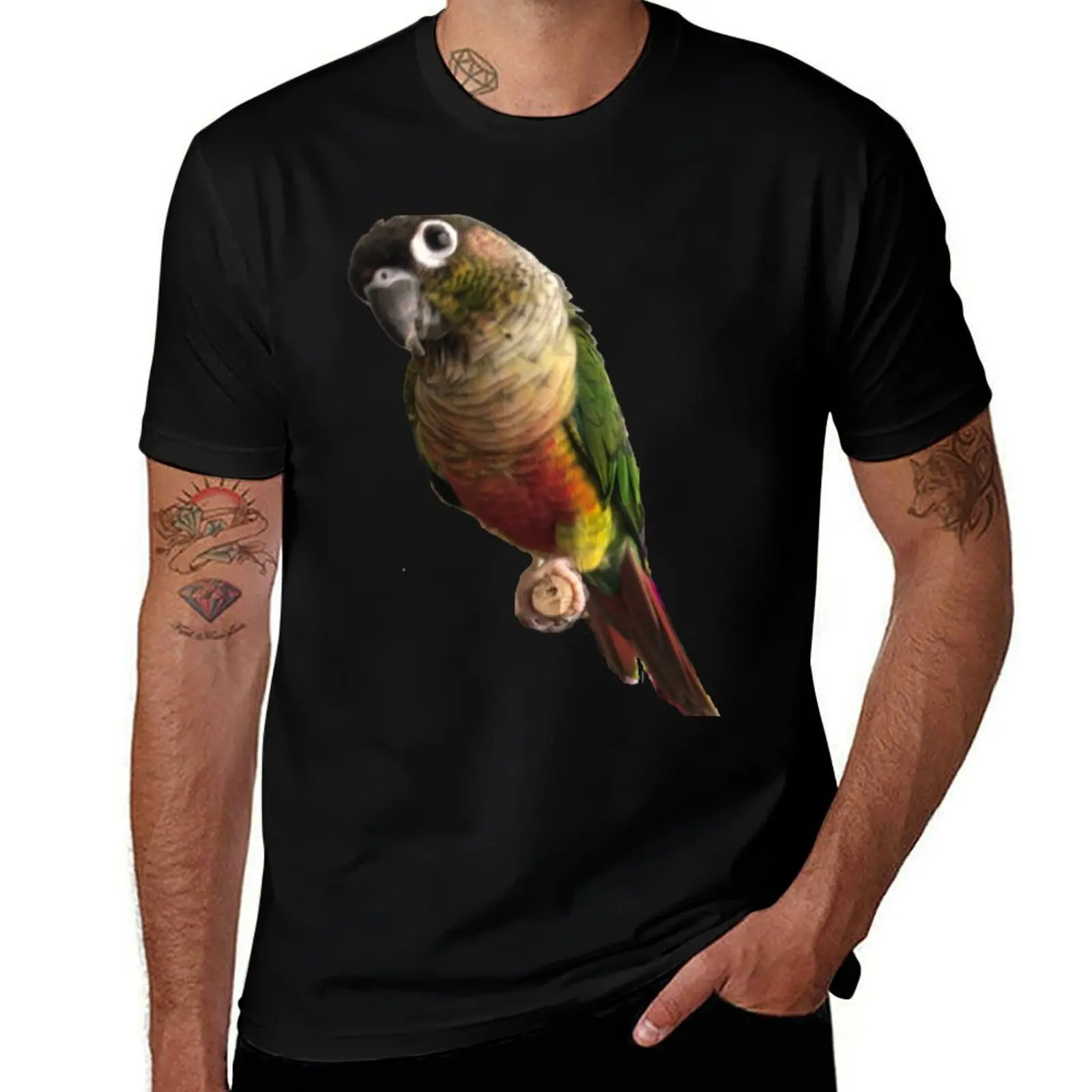 Green Cheek Conure design Conure Small Parrot Parakeet Parrot lover T-Shirt Big and Tall Loose Fit T-Shirt