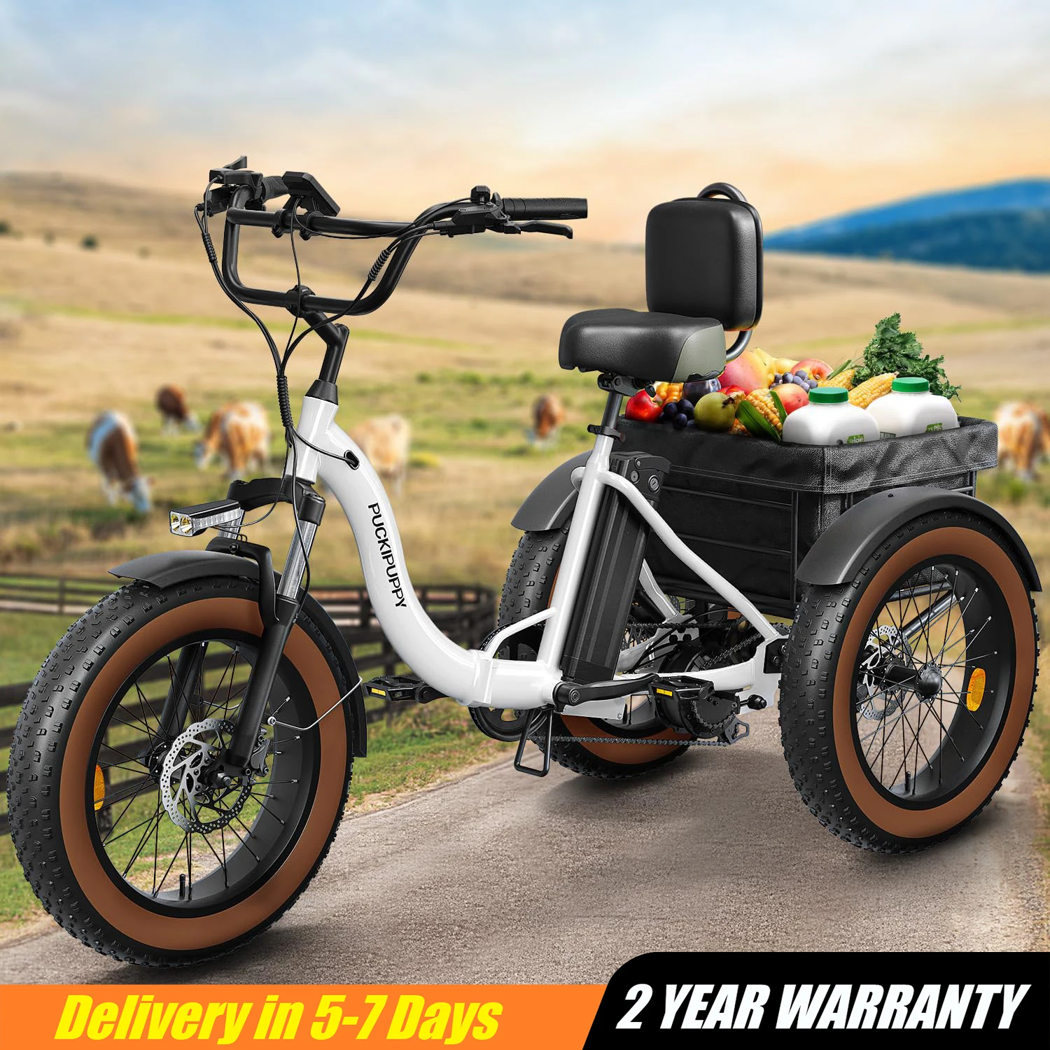 

﻿PUCKIPUPPY Electric Tricycle for Adults 20" Fat Tire 3 Wheel Electric Trike with 960W Rear Motor Differential for Safety
