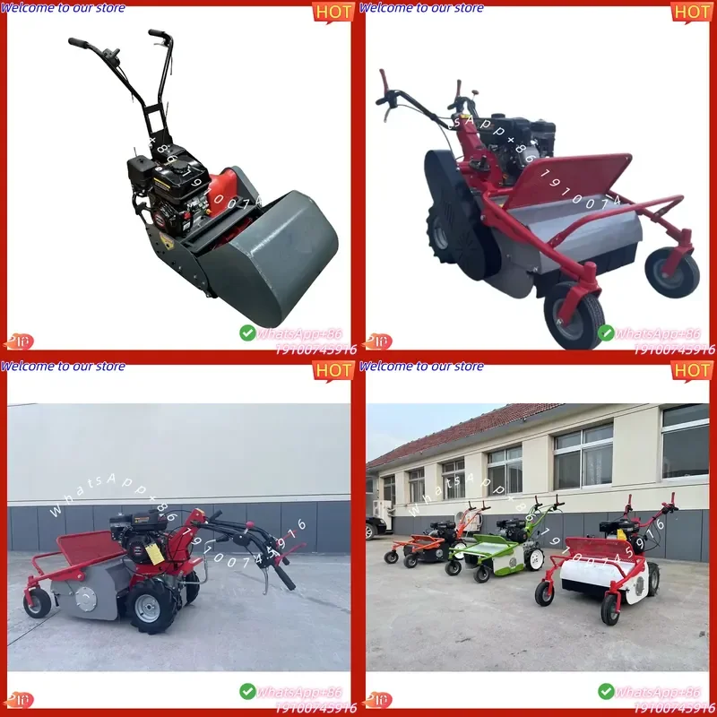 CE Certificate 24V DIY Cordless Steel Lawn Mower Self-Propelled Petrol Drive Hand-Push Grass Cutter with OEM
