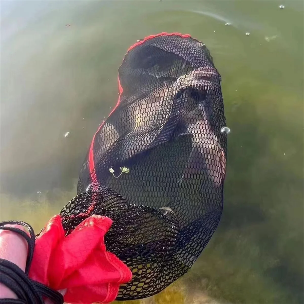

Foldable Fishing Net Bag, Thickened Fish Net, 1.5 Meters Long
