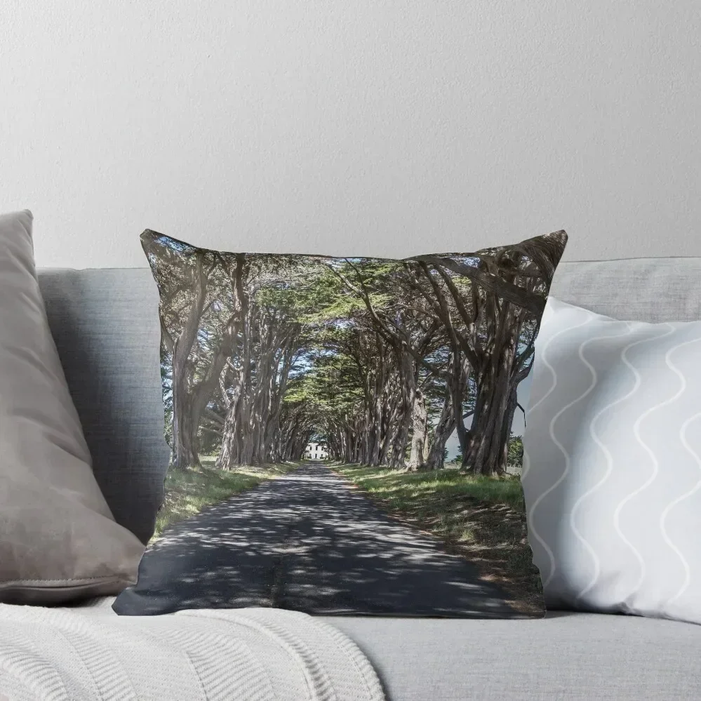 Cypress Tree Avenue - Point Reyes Throw Pillow Decorative Cushions For Luxury Sofa Decorative Cushion Cover pillow