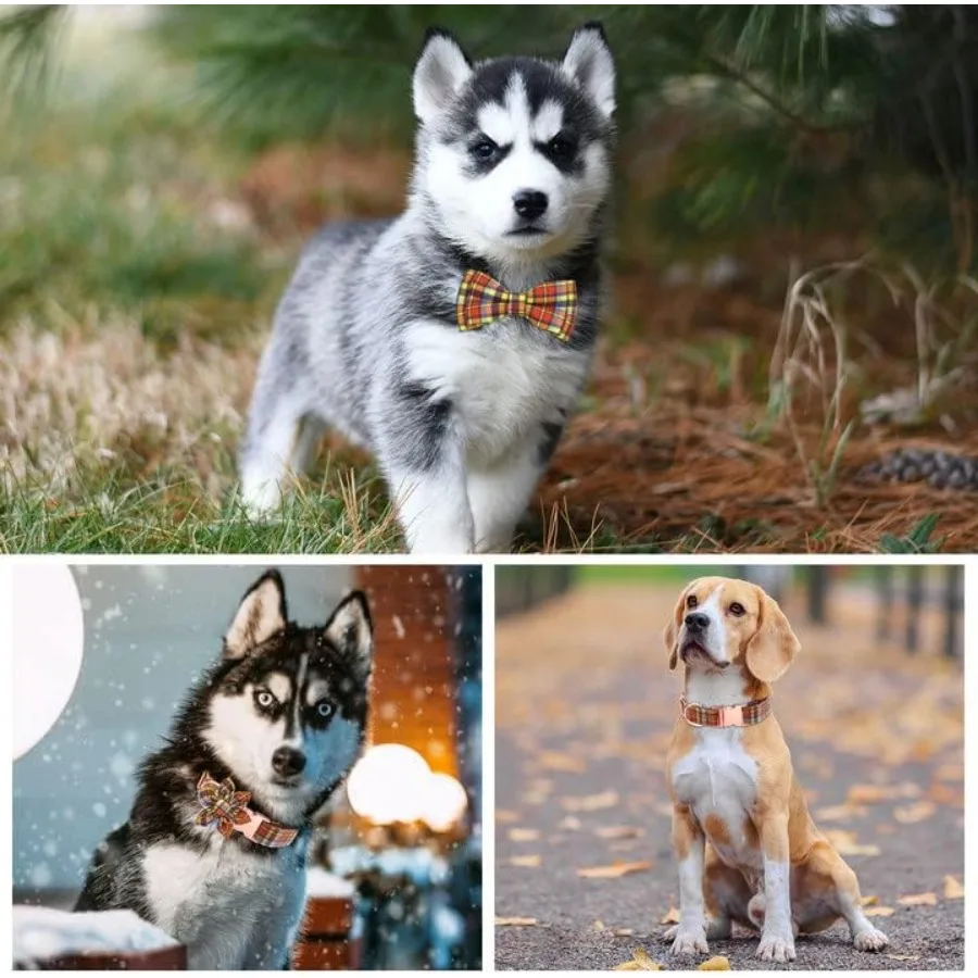 مجموعة مقود طوق الكلب منقوشة مع ربطة عنق قابلة للتعديل وياقة جرو لطيفة مع إبزيم معدني متين للفتيات والأولاد طوق كلب صغير