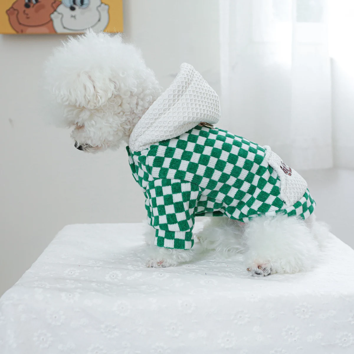 1PC Pet clothing Dog Cat Spring and Autumn green and white style California hat coat suitable for small and medium-sized dogs