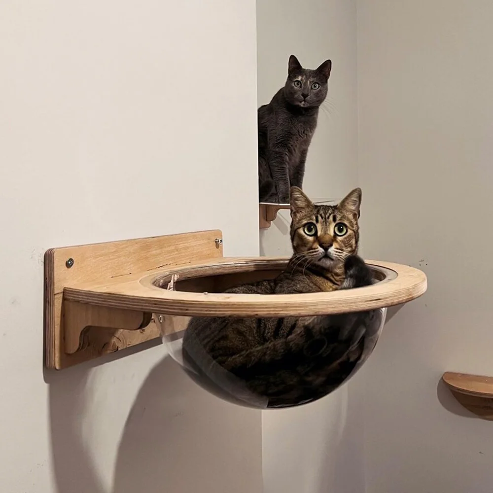 An der Wand montiertes transparentes Halbkugel-Raumkapsel-Katzenbett, Holzrahmen, Massivholz-Haustiermöbel, zum Schlafen, Ruhe und für Katzen im Innenbereich