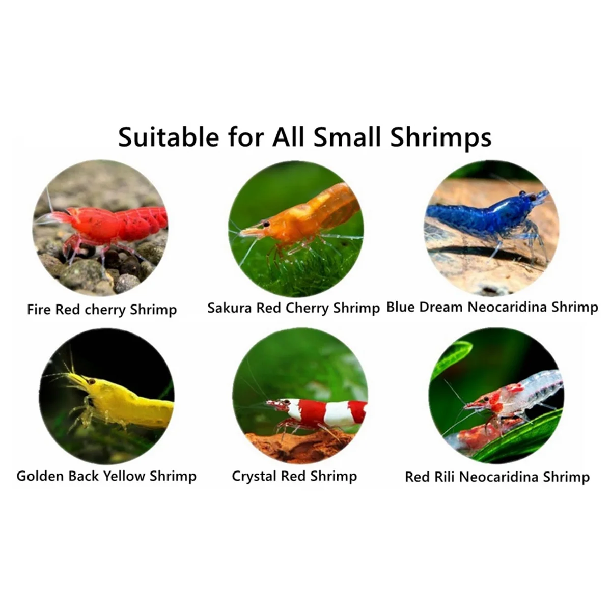 A59T Shrimp Breeding Protector - Shrimp Breeding Cave Indoor Outdoor Aquarium Cave Aquarium Tunnel Shrimp Hides Black