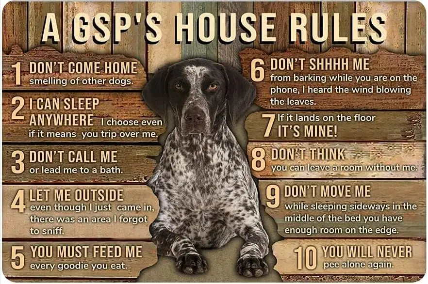 German Pinscher Dog Metal Tin Sign A Gsp'S House Rules Funny Poster Cafe Living Room Bathroom Kitchen Home Art Wall Decor P sign