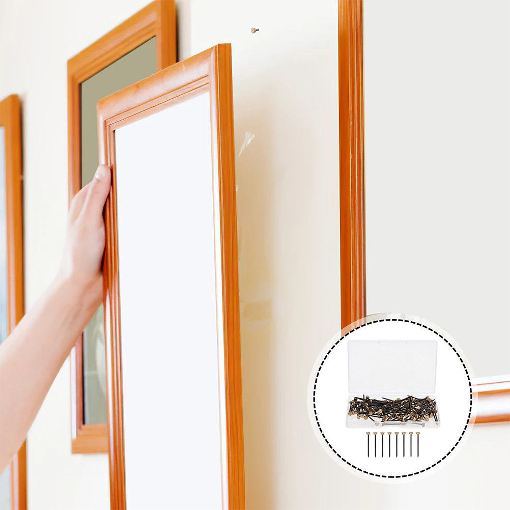 

100 Pcs Hanging Painting Hardware Nail Set Headed Picture Nails Drywall Hangers Artwork Copper Decorative Carbon Steel Frame