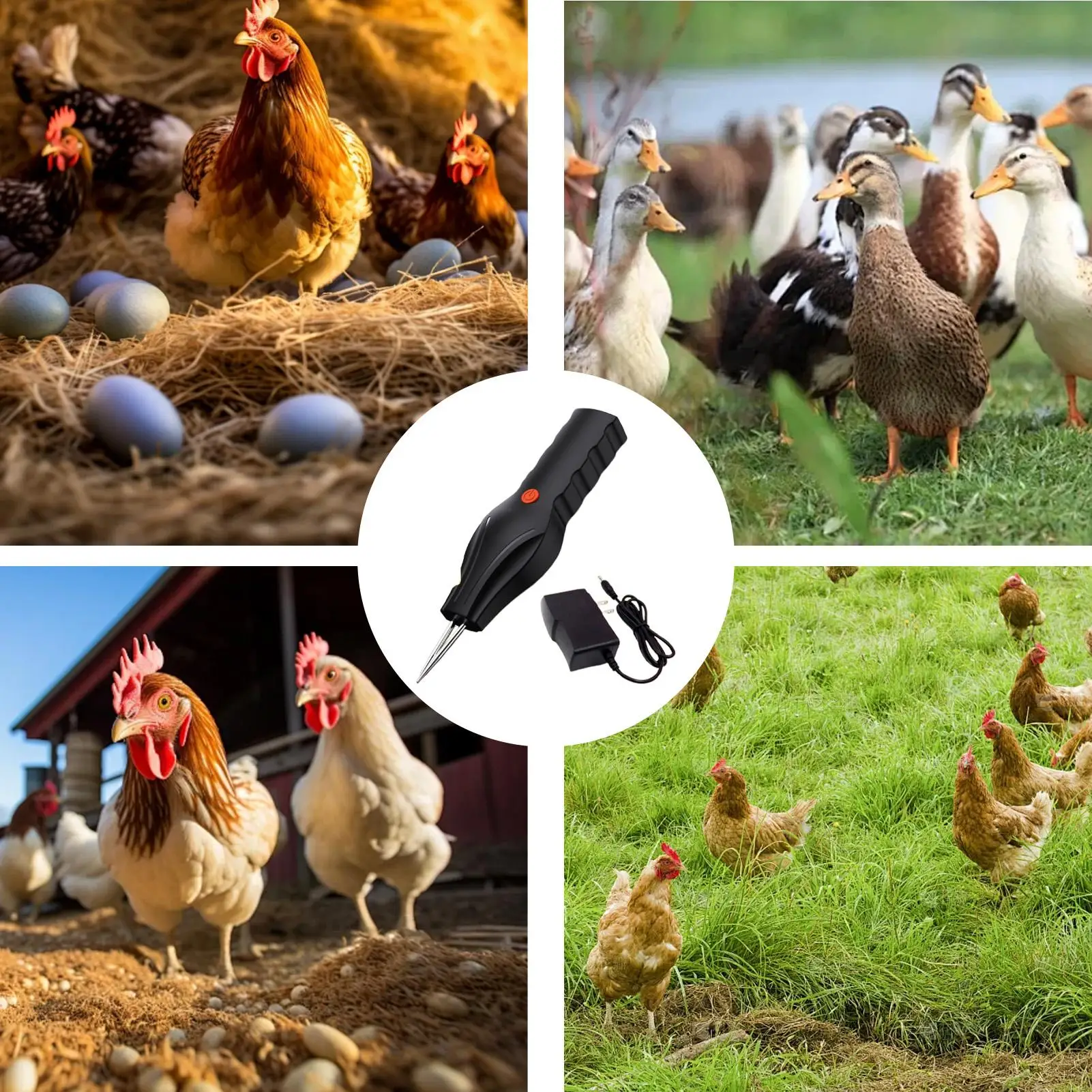 آلة نتف الدجاج والبط الكهربائية آلة نتف كهربائية محمولة معدات إزالة شعر الدجاج السريع