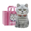 gray tabby cat