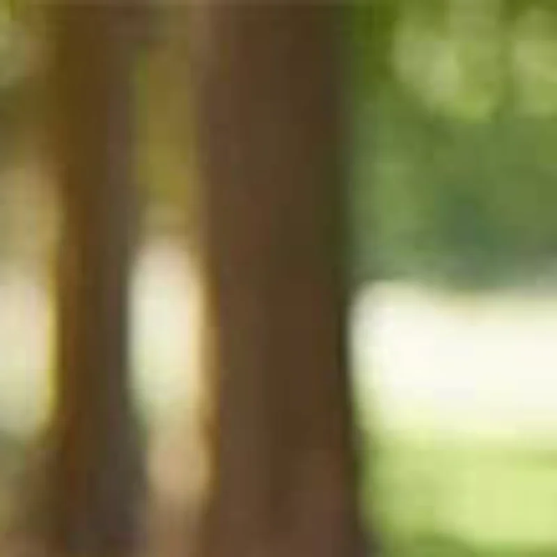 

19MM Cane Tips 6 Pillar Design Nonslip Rubber Crutch End Mat With For Walking Stick Shooting Stick Crutch Tips Accessories