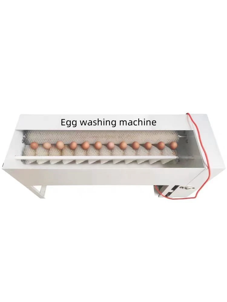 New type of stainless steel egg cleaning machine/automatic cleaning machine for eggs/duck eggs