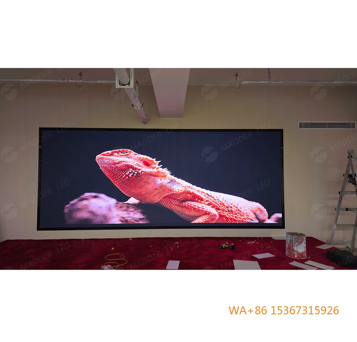 

P2.5 Indoor Full Color LED Screen 4K High Resolution Display for Media Retail Store Wayfinding