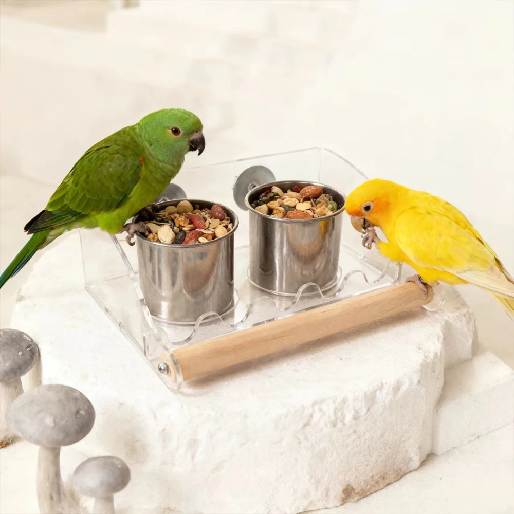 Comedouro de Acrílico para Papagaios, Anti-Desperdício e Anti-Respingo, Tigelas de Comida e Água para Pássaros, Copos de Aço Inoxidável, Poleiro de Madeira, Acessório para Gaiola para Periquitos e Calopsitas