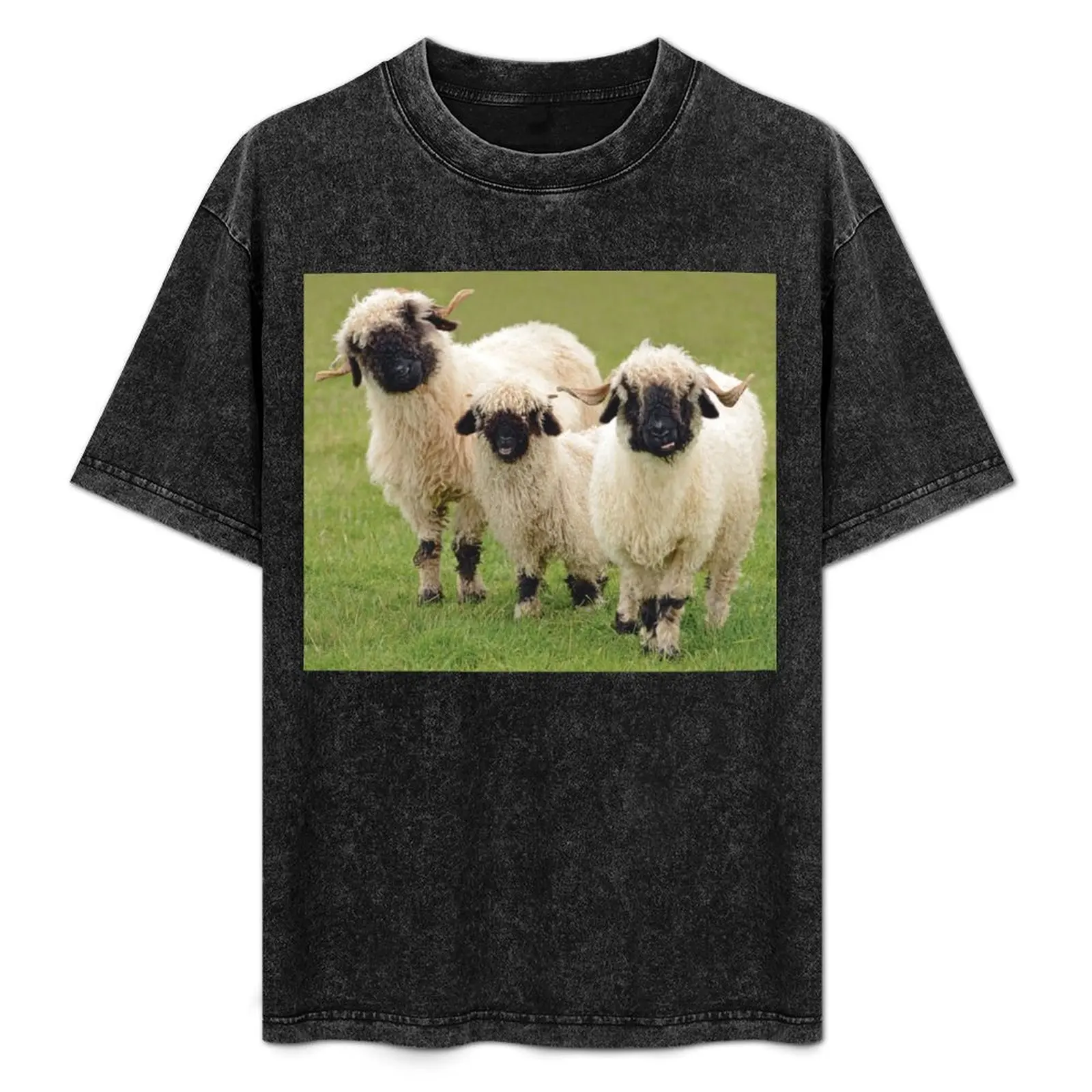 

Swiss Valais Blacknose Sheep T-Shirt Work Casual Loose Fit T-Shirt