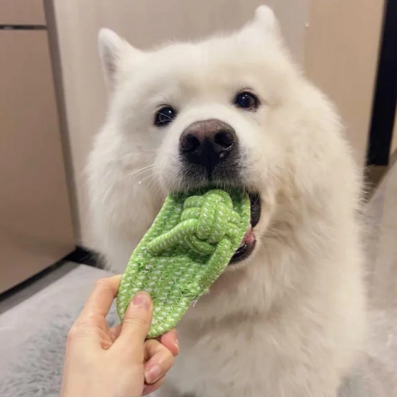 Thumbnail 3 - #61 Best Dog Chew Toys to Buy In 2026