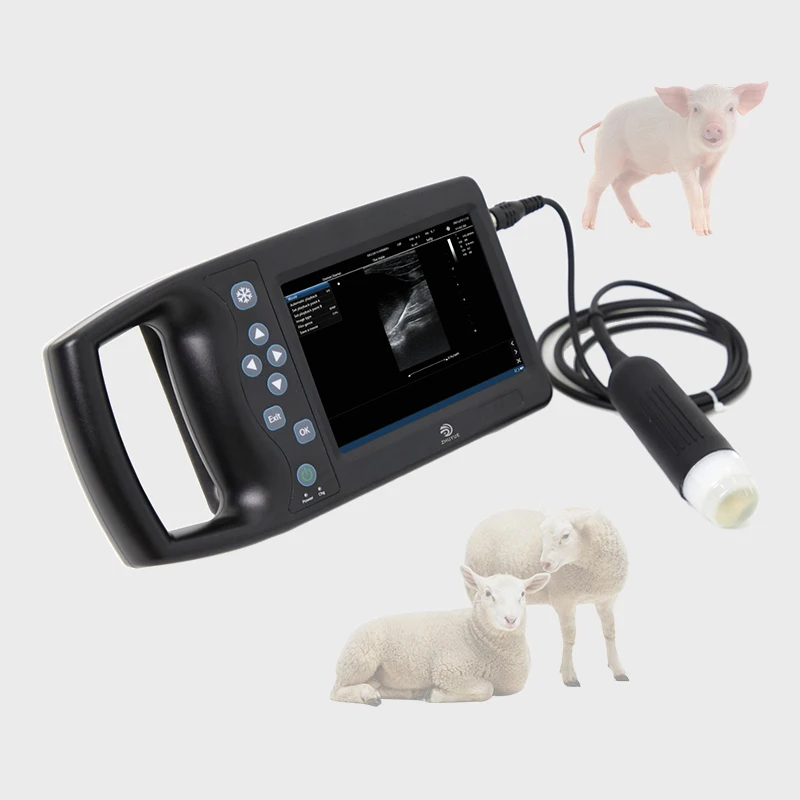 

High quality Laptop Portable BW veteriary animal Ultrasound Scan machine for pet Medical Diagnostic ultrasound