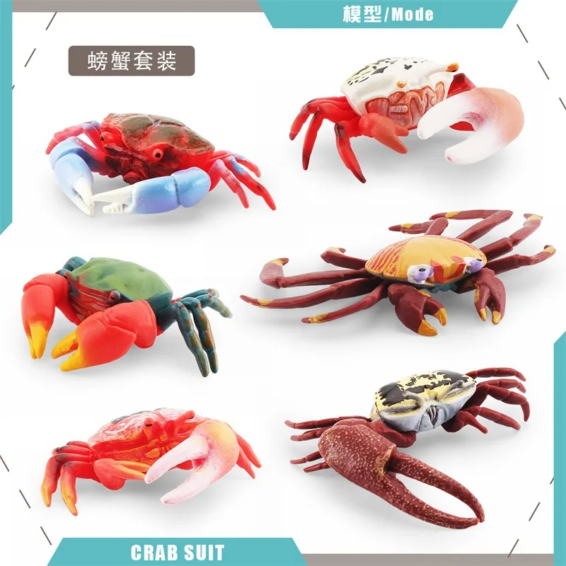 Simulazione Kawaii Marine Animal Crab Lobster Action Figures modello Fish Tank Decor corpo marino giocattoli educativi cognitivi per bambini